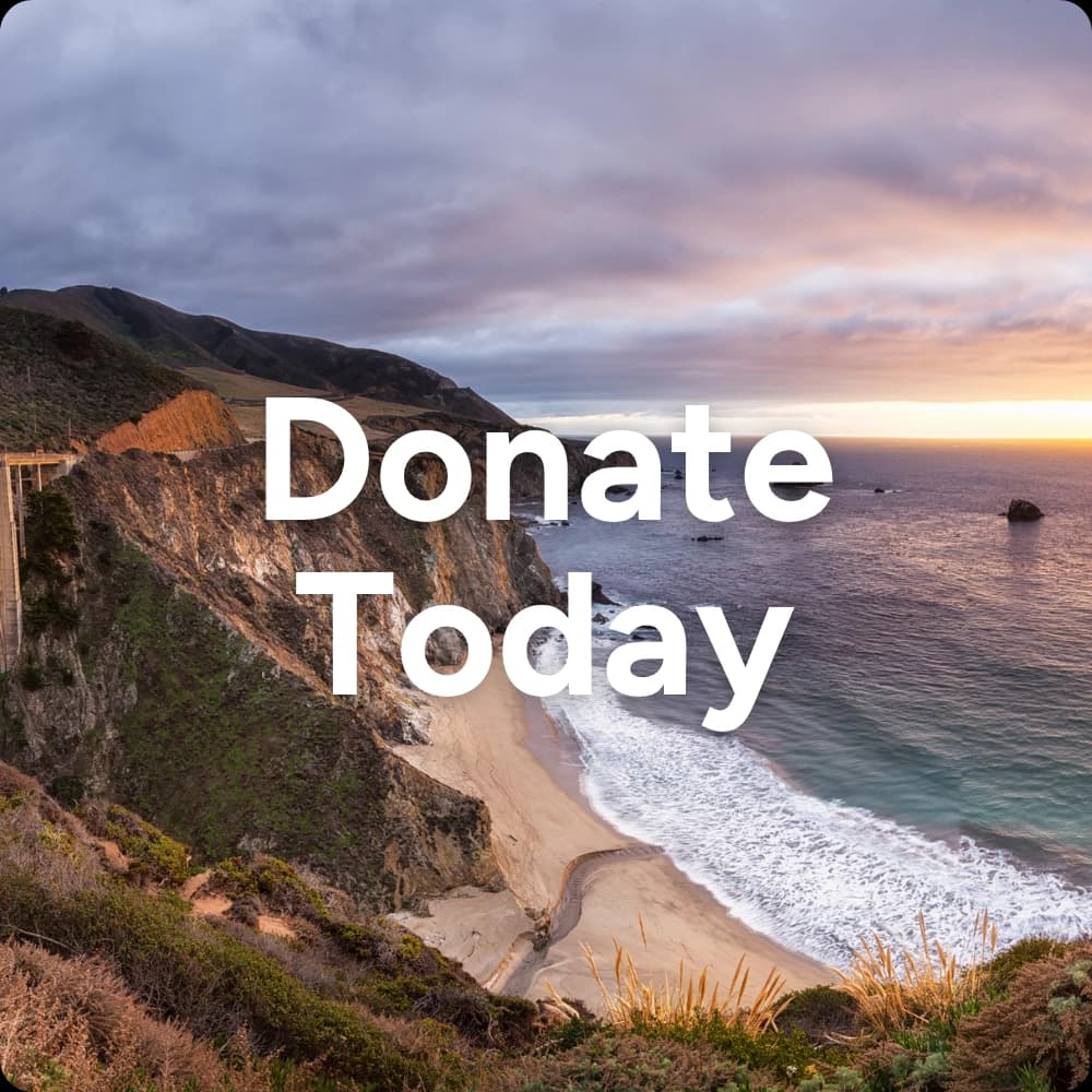 Donate Today