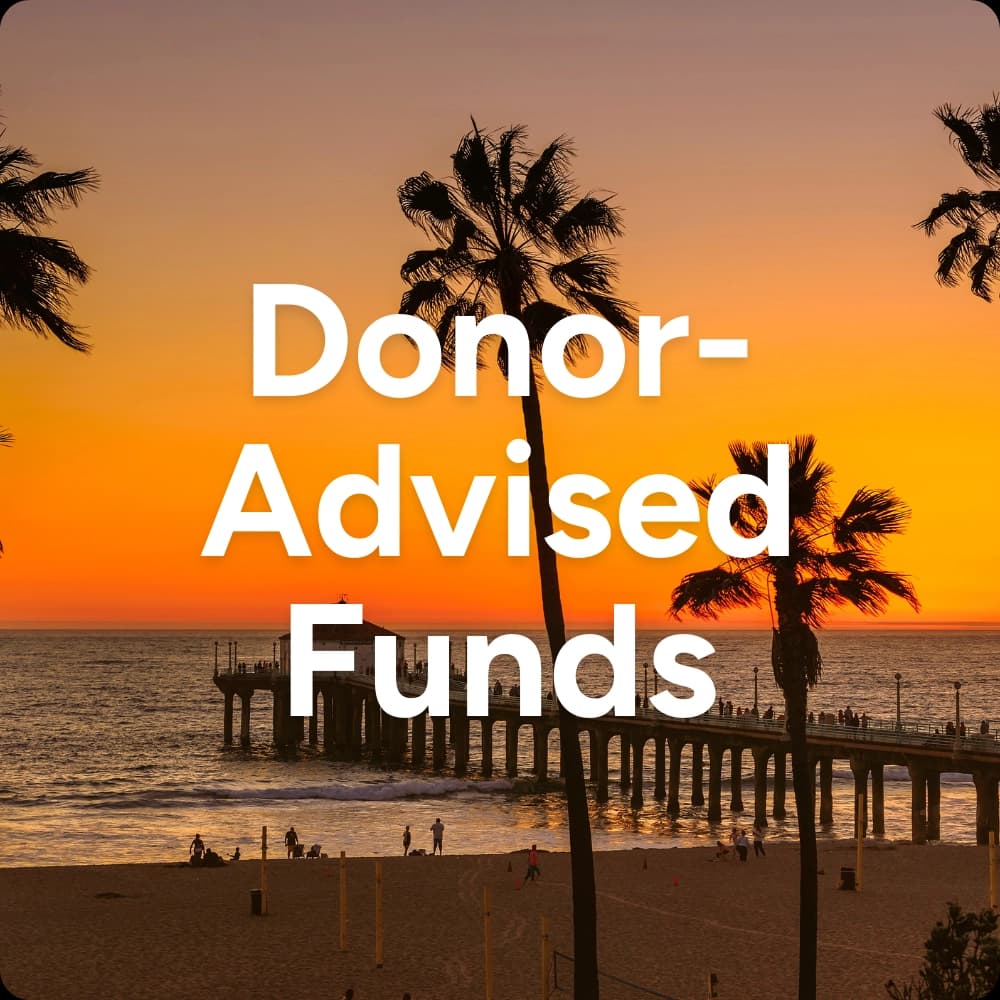 Donor-Advised Fund